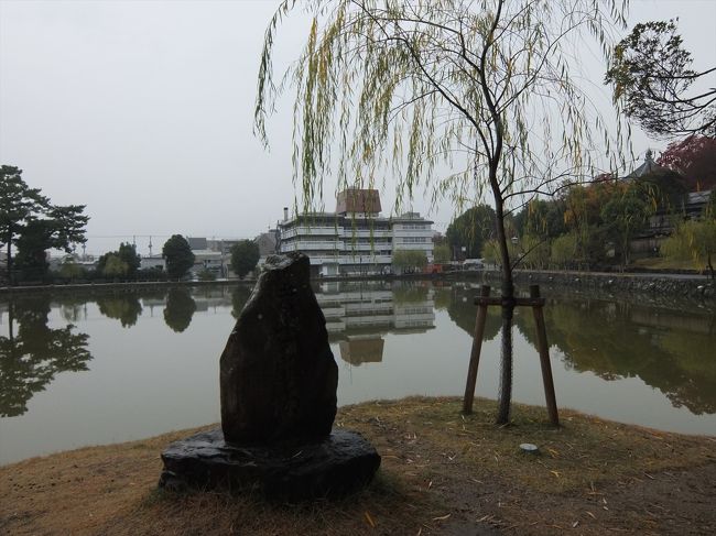 帰りは猿沢池へ寄りながら奈良駅へ。