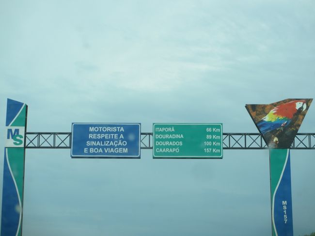 運転手さんは法律を守って安全運転で帰ってね