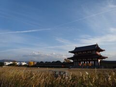 
　奈良公園を後に。
　帰り際、朱雀門前を通りました
