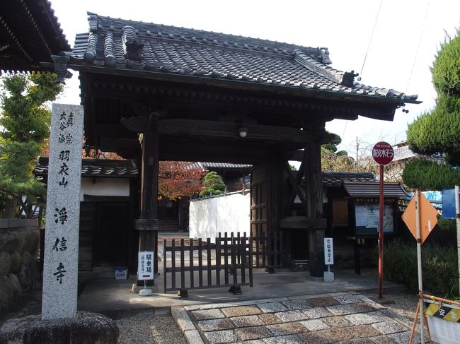 羽衣山浄信寺<br />往古は横井山の北あたりにあり、天正の頃、この地に移転。横井村は横井氏発祥の地であり、この寺は横井氏の菩提寺であったとも伝えられています。本尊阿弥陀如来立像。(中村区ホームページ岩塚宿散策コースより)<br />横井山緑地が近くにあります、桜やスイセンなど季節の花が美しいところです<br />今回残念ながら写真撮っていませんので・・・高野宮社も発見できてません・・・<br /><br />
