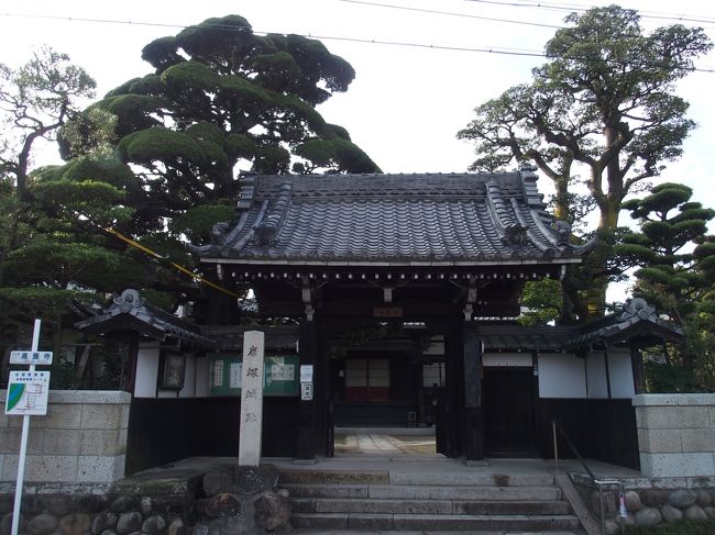 向かって左がイブキ、右がクロガネモチ、名古屋市の保存樹です