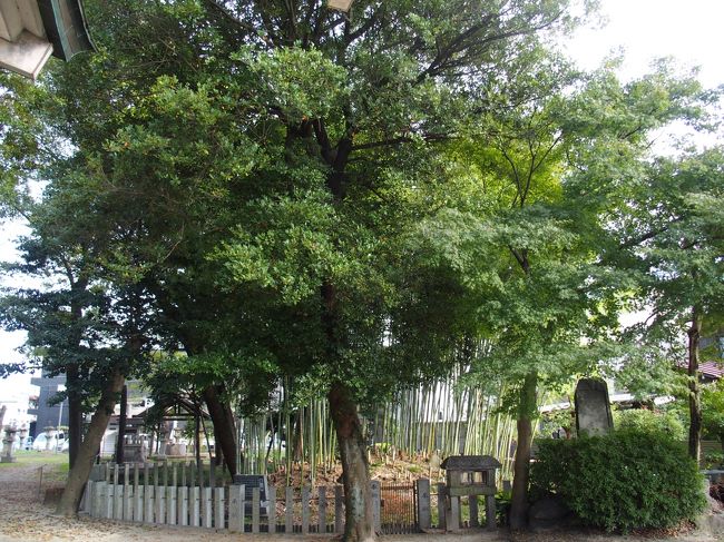 平安朝初期の古墳<br />