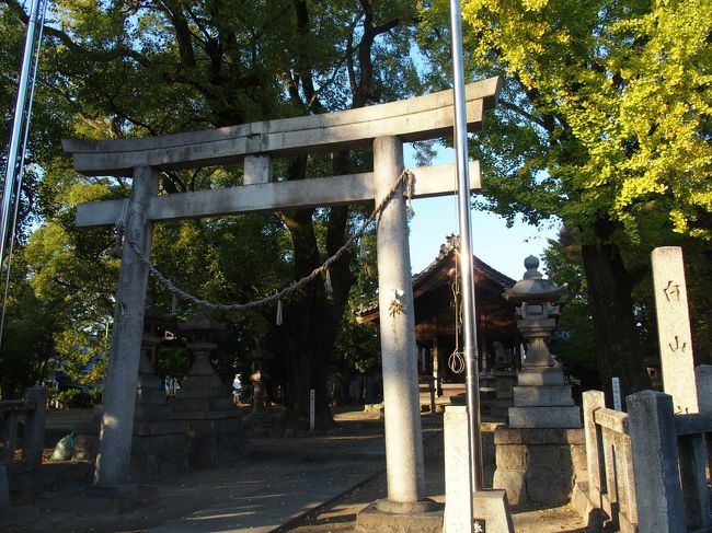 白山社の境内地はきれいにお掃除されていました