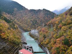 このすぐ近くにある井川ダムからの紅葉も見事だった。