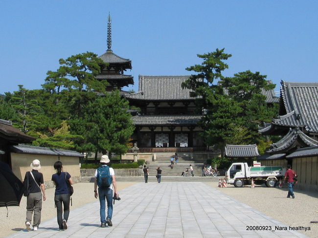 実は、法隆寺について<br />最後の宮大工と言われた西岡常一さんの「木のこころ」という記事をBe-palで読んだことがあって、必ず見ておかなければと思っていました。