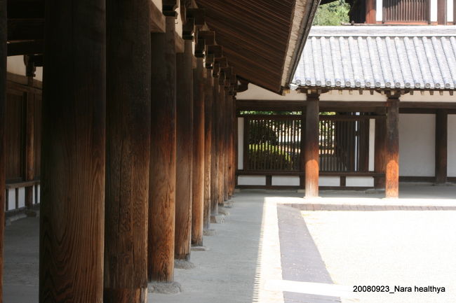 西岡常一さんの「木のこころ」のDVDまで見て行きました。<br /><br />でも、現地では急に冷めちゃって・・・写真には様々な接合部などを撮るのですが・・・改めて見直すこともありませんでした。