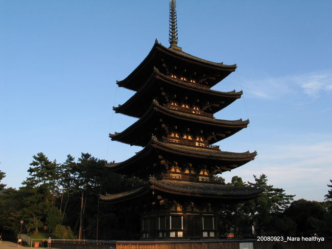 夕日に照らされる興福寺を見て、この日、初めて神社仏閣を見て、ホッとしました。