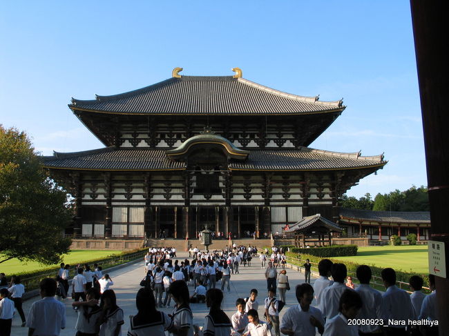 東大寺でしょう・・？時が経ちすぎてよく覚えていません。<br /><br />奈良は・・なんていうか〜・・広い敷地がガランとしていて・・・なんとも言えない寂しさを感じるのです。<br /><br /><br />私には奈良の神社仏閣は萌てくる感じが無いのです。
