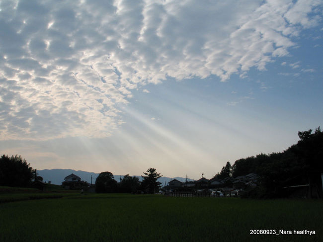 こんな感じの風景の中で１時間位散策していたようです。<br /><br />全てが柔らかい感じに包まれていました。<br />縄文時代から、ずっうっと変わらない〜雰囲気です。