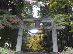 この鳥居と後ろのイチョウと手前の紅葉。
紅葉が赤ければナイスなコラボです。