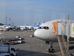 あっという間に成田に無事到着しました。
新しい機内サービスは思った以上に良かったです。
早く全路線に導入されたらいいですね。
