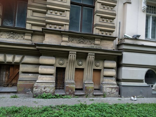 にゃんこはじーっと座ってました。