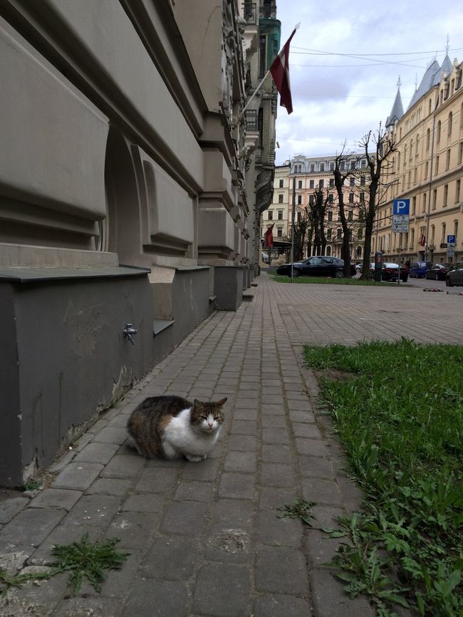 おりこうさん。