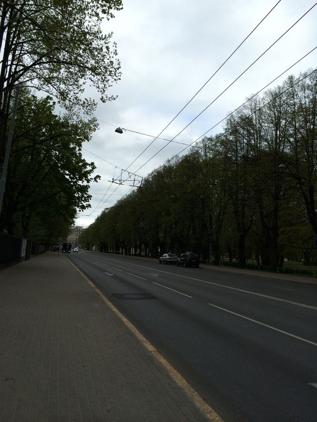 トロリーバスで来た道を歩いて帰ることにしました。<br /><br />道路の上の電線はトロリーバスに電力を供給するものです。