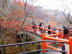 有名な河鹿橋。結構葉っぱが落ちていてピークが過ぎた感が･･･