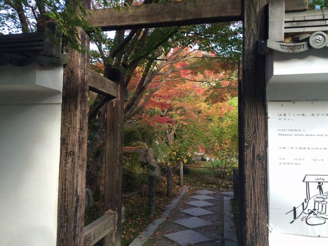 お庭に入る門です<br /><br />なんだかよい感じ♪期待しちゃいます！<br />