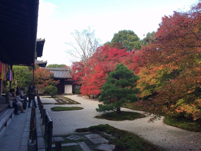 ステキでしょ〜