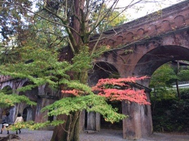 水道橋の周りはまだ殆ど紅葉していません