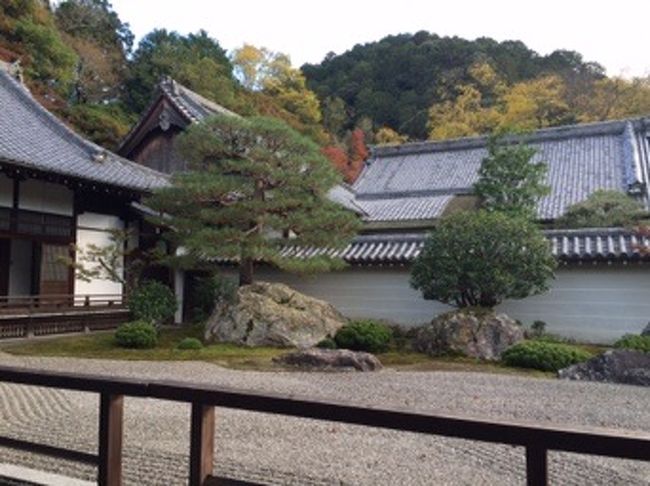 外国人の方が非常に多かったです