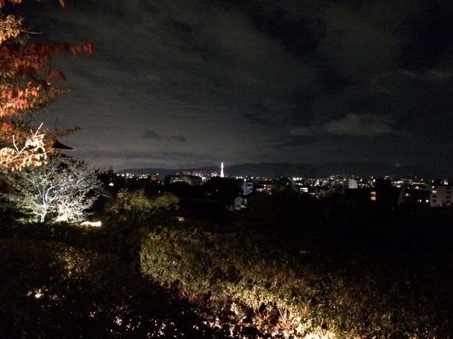 最後に高台寺の駐車場から京都タワーを見て<br />帰路に着きました<br /><br />今回のバスツアー代金10000円<br />若干紅葉には早かったけれど トータルして<br />凄く良かったです！
