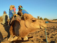 駱駝に跨がり砂漠へ入っていったりと予想以上にエンターテイメント要素高い事に驚き！