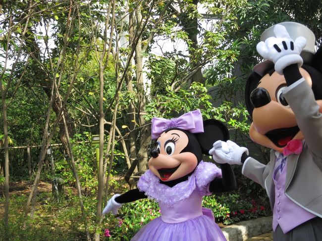 ディズニーアンバサダーホテルの結婚式に参列 ミッキー ミニーもお祝いに駆けつけました 東京ディズニーリゾート 千葉県 の旅行記 ブログ By ぴくしーさん フォートラベル