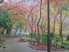 バスに乗って、三ノ宮から新神戸駅経由で有馬温泉に到着し、瑞宝寺公園へ歩きました。