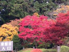 前回行ったときよりも紅葉が色づき、とってもワクワクしてしまいます。