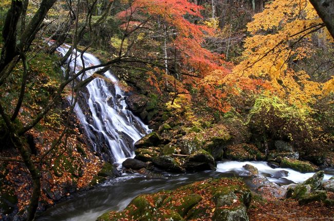晩秋の鮫川村 江竜田の滝の紅葉 東白川 石川 福島県 の旅行記 ブログ By J Ryuさん フォートラベル 晩秋の鮫川村 江竜田の滝の紅葉 東白川 石川 福島県 の旅行記 ブログ By J Ryuさん フォートラベル