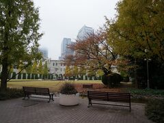 素敵なお庭、紅葉してます。