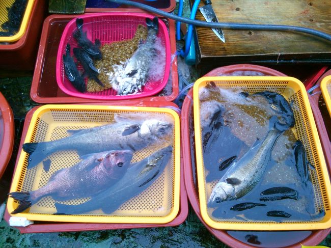 生きたまま売られています。