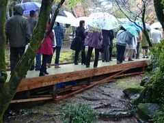 雨の九年庵
雨の中多くの観光客が訪れていました。
邸内は入場制限されており、団体客の入園はかなり待たされるようです。
個人は団体客を横目に、庭園前まで進むことができ、入園することができます。