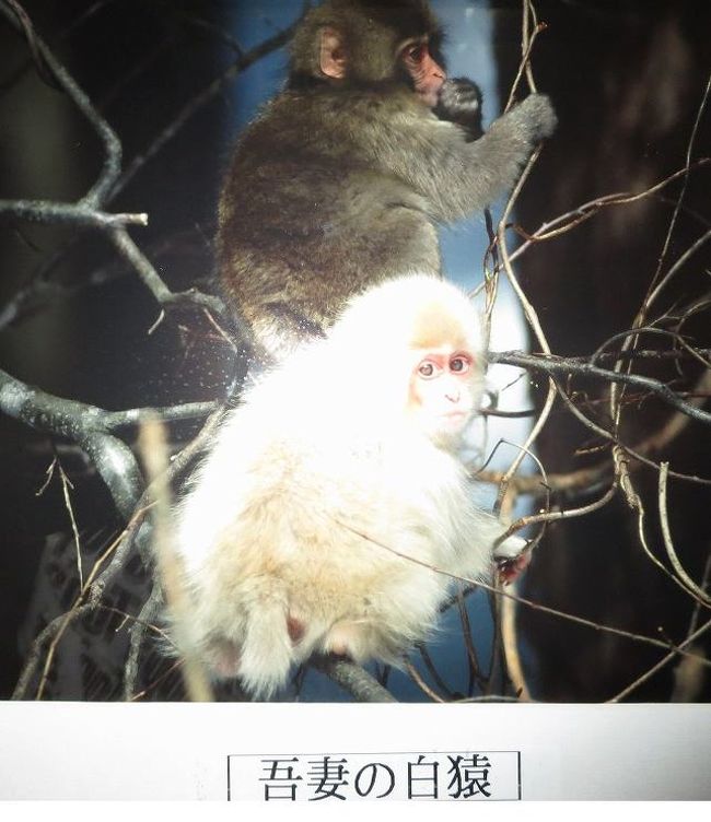 晩秋の山形探訪 2 新高湯温泉秘湯の宿 吾妻屋 と上杉の城下町米沢 米沢 山形県 の旅行記 ブログ By Donkyさん フォートラベル 晩秋の山形探訪 2 新高湯温泉秘湯の宿 吾妻屋 と上杉の城下町米沢 米沢 山形県 の旅行記 ブログ By Donkyさん フォートラベル