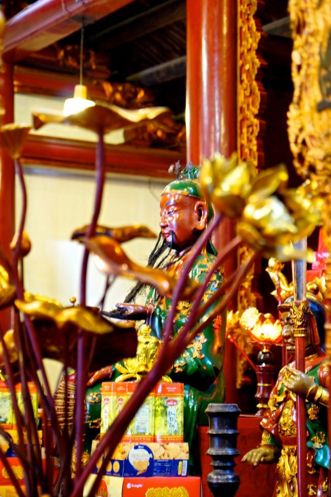 大きな亀の剥製やらあったけど<br />