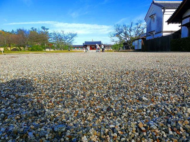 玄奘三蔵院伽藍前の砂利道