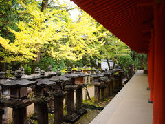 翌朝、近鉄奈良駅前のバス停から春日大社へと向かう。
バスを待つ間、Ｔさんは二日酔いで微妙に辛そう。
対照的に、会うたびにパワーアップしているような気がするＯさんはすっきり顔。
私はと言うと、微妙にお酒が残っているような（＾＾；

9:10発の春日大社本殿行きのバスは遅れてやってきた。
大先輩お二人に座っていただき、こちらは立ったままバスに揺られていく。

１０分ちょっとで春日大社の駐車場に到着。
本殿を参拝する前に、個人的に、まずは榎本神社に参拝。
南回廊からの石灯籠の眺めは、結構好きだな。