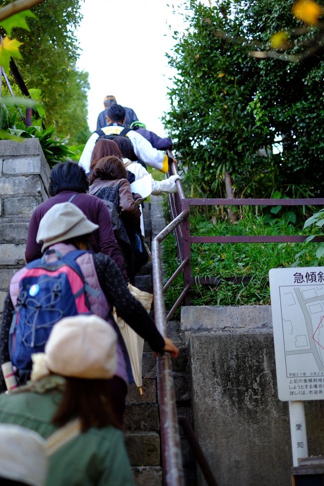 細い道を抜け<br />急階段を登り…さてどこにでるかな