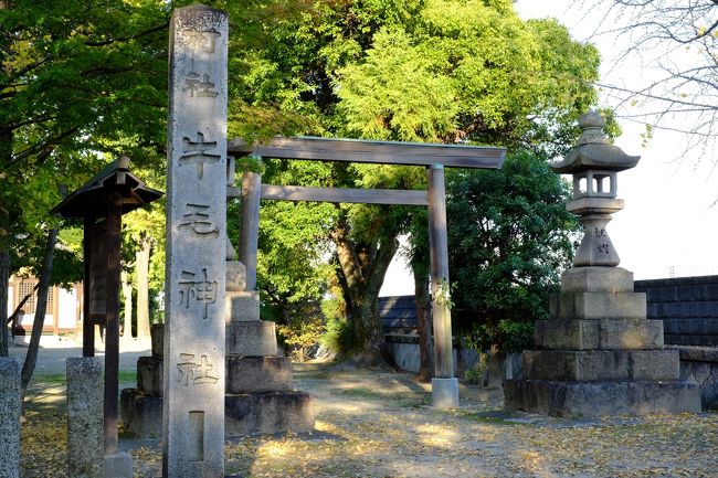 牛毛神社<br />神社は天白川の堤防上にあり創建は太閤検知<br />より以前と推定されています<br />津島神社の神符が牛毛海岸に毎年のように流れ着いたのを、神の御神意としてこの地に神社を建てたと案内板に書かれていました