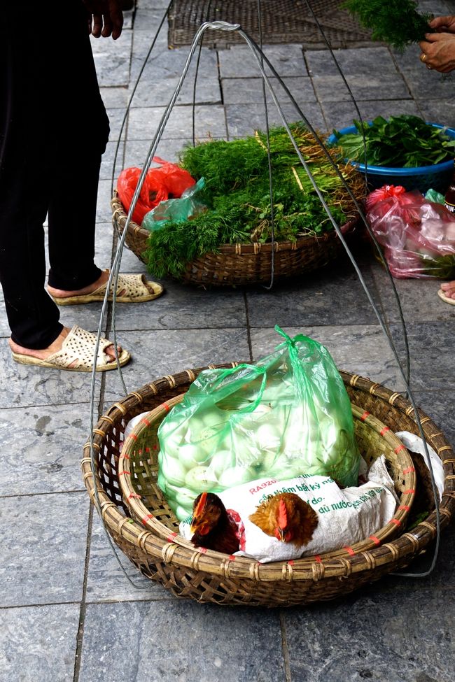 ニワトリも売ってます<br />大きくして美味しくいただけます