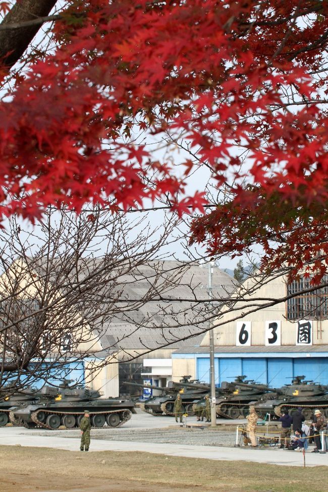 紅葉と戦車・・・・だれがこんな写真撮るねん