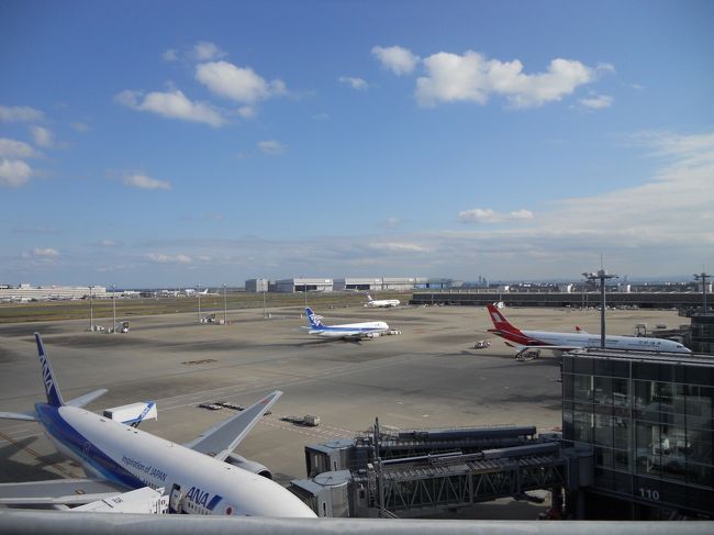 今回は、羽田16:35発のベトナム航空。<br />久しぶりの朝ゆっくり。新しい羽田国際空港でのんびりできた。<br />昼間から、ビール飲むって本当に幸せ！<br /><br />ただ、ベトナム航空の飛行機は、小さくて通路は1本。<br />パーソナルモニターはなし。<br />映画見たかったな。<br />ま、5時間半だから我慢我慢。