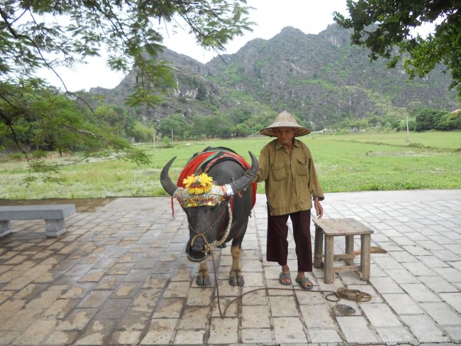 かわいいおじいさんと牛。<br />あんまりやる気ない感じ。