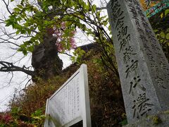 登り坂の角度がきつい。

少し行くと太い幹回りの天然記念物の神代欅があった。