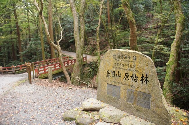 奈良奥山を歩く 奈良市 奈良県 の旅行記 ブログ By Jaribunさん フォートラベル