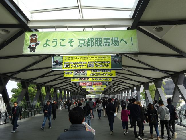 2015年11月 京都競馬場で開催された第32回マイルチャンピョン
