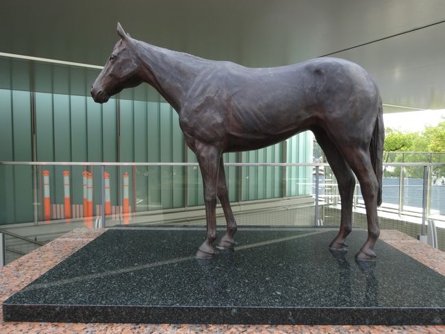 2015年11月 京都競馬場で開催された第32回マイルチャンピョン
