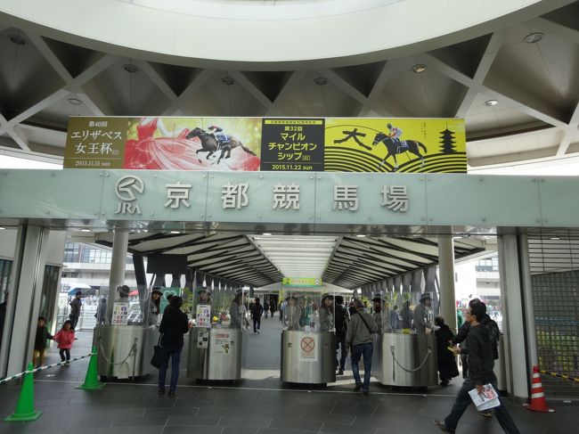 2025年最新】Yahoo!オークション -京都競馬場 マイル(その他)の