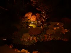 国の名勝にもなっている龍潭寺庭園です。

紅葉の時期、夜はライトアップされます。
