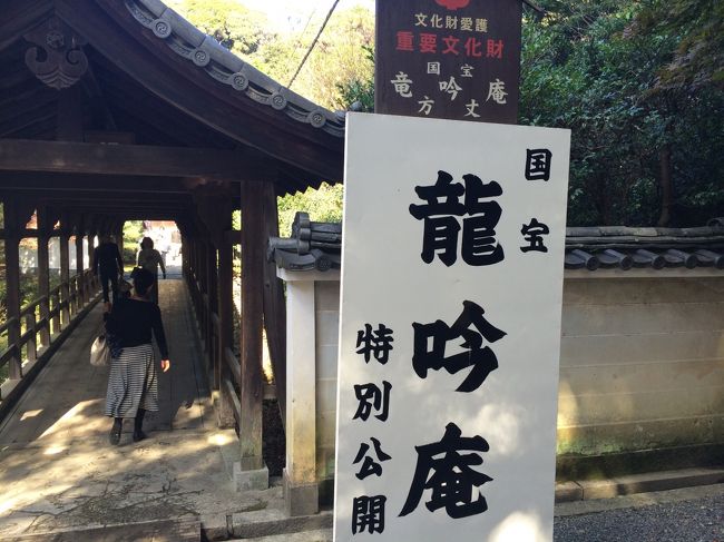 滞在時間は50分と決められていたので 定番の方丈はあきらめ<br />特別公開している 龍吟庵を拝観することに