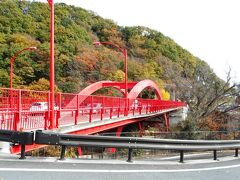 高津戸橋を東づめのながめ公園から見る。この橋から下流は開けるが、渓流の流れはまだ続く。